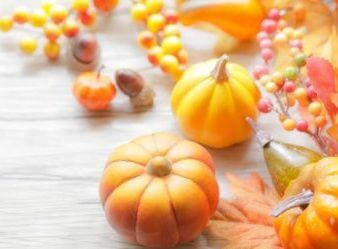 旬の食材「かぼちゃ」　栄養と効能は？
