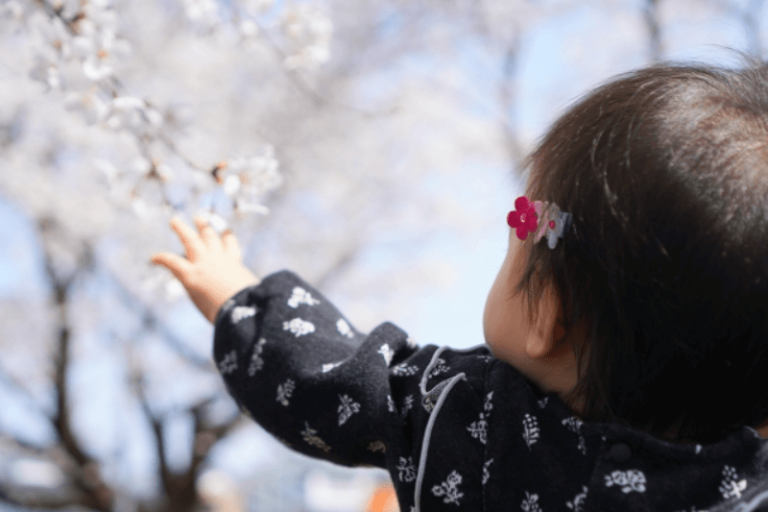 桜に手を伸ばす赤ちゃん