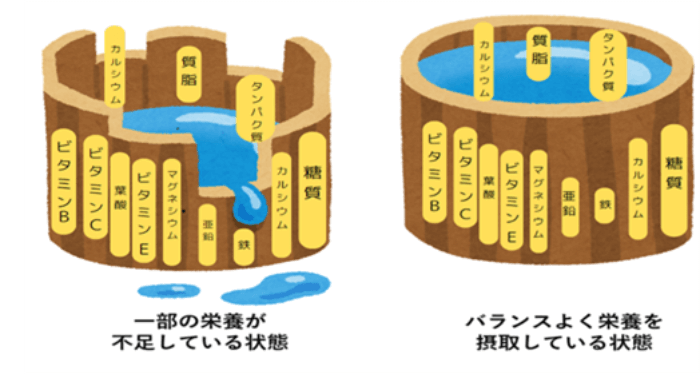 栄養バランス_桶のイメージ