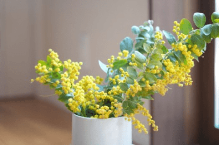 黄色の花